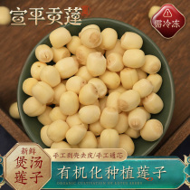 Xuanping Gonglian fresh lotus seeds peeled fresh lotus seeds rice to core soft glutinous Super Wuyi Xuanping authentic peeling shell to heart