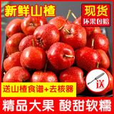 Hebei fresh hawthorn fruit 5kg super large orchard fresh mountain red fructose gourd Hawthorn bulk boutique