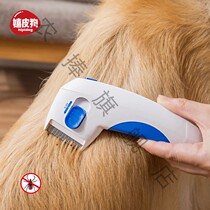 Flea comb electric lice removal device Teddy golden retriever with artifact pet cat dog to lice catch
