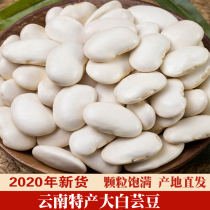 Big white kidney beans 1 catty bulk Yunnan specialty big white bean farmers produce fresh white white beans 500g whole grains