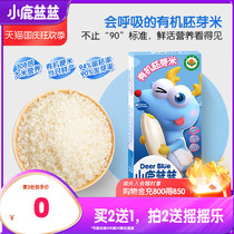 (Fawn blue_organic germ rice 500g) baby nutrition rice sent to August baby children supplementary food spectrum