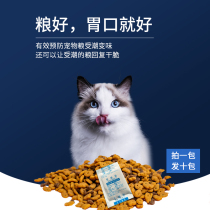 Pet Grain Desiccant 20 gr 10 Packs Cat Grain Dog Food Grain Storage Barrel Food Freeze-dried Zero Food Moisture-Proof Dehumidification Bag