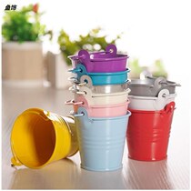Sheet Iron Flower Arranger Small Flower Barrel Toy Bucket Colored Drawing Bucket 100 Hitch Mini Candy Color Small Iron Barrel Multi Meat Flower Pot 2
