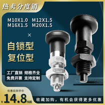 High Quality Spring Indexing Pin Thickness Tooth Self Locking Type M10M12M16M20 Stainless Steel Bolt Carbon Steel Knob Plunger