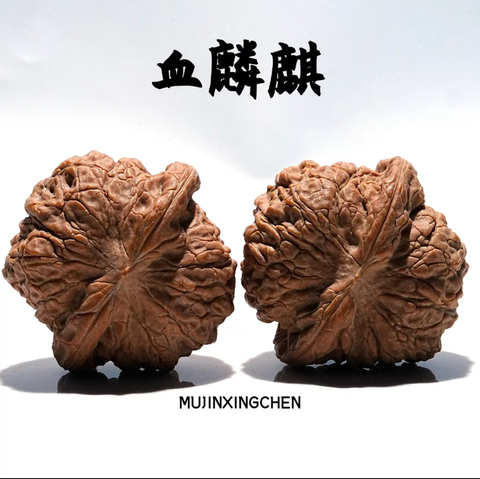 核桃血麒麟精选和核桃血麒麟品牌价格与图片-淘宝商品网