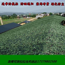 Defense Star aerial photo Counterfeit Clothing Network anti-fake web decoration Net shading camouflan camouflak sunscreen decoration Roof Coverup Net