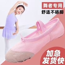 Pink childrens dance shoes soft-soled practice ballet shoes adult mens and womens cat claw shoes red Chinese dance gymnastics shoes