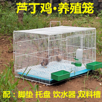  Household quail cage Blue-breasted quail rutin chicken Osmanthus bird special encrypted automatic egg cage breeding cage package
