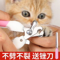 Pet dog cat nail scissors dog cat nail clipper artifact cub cat special nail clipper sharpening supplies