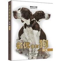 High-quality pet dog varieties beside