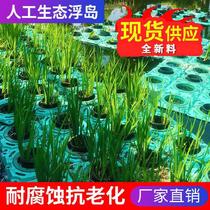 Watching water onion new improved seeds small fish water purification flower and grass carrier water surface seedling water plant ecological floating bed