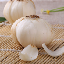 One serving 2kg Lanzhou fresh lily fresh lily farmhouse fresh lily non-dried lily