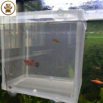  Tropical fish bucket-proof fish tank isolation net dense net breeding box fish tank isolation box small floating suction cup delivery room
