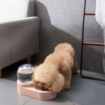 Summer cross-border bubble drinking water Drink automatic renewal Water double bowl drinking water feeding basin not wet mouth water bowl spot