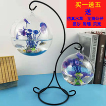 Transparent creative mini home glass hanging small office desktop round bucket fish bowl decorative ornaments goldfish tank