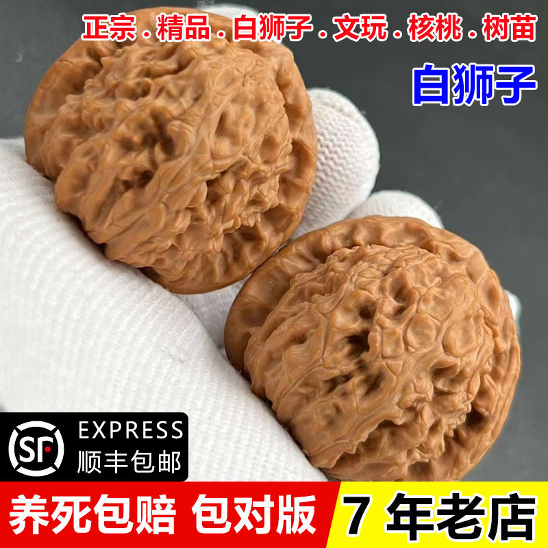 三角白狮子核桃-三角白狮子核桃促销价格、三角白狮子核桃品牌- 淘宝