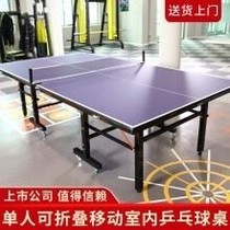  Ball case Special pulley Standard movable indoor table Professional home game Foldable table tennis