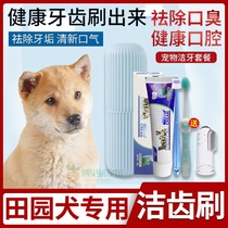 Fields Yard Dogs Exclusive cleaning teeth Deodorant Small Dog Tooth pooch Toothbrush Toothpaste Suit Edible Dental Calculus Tartar