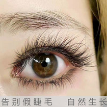 (Wei Ya recommended) bid farewell to false eyelashes eyelashes thick curly growth liquid eyebrow growth liquid