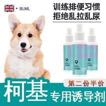 Corji special training guides the dog positioning inducer to urinate and urinate such as toilet urination and defecation