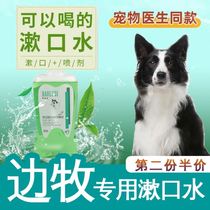 Border Pastoral dogs can eat and drink mouthwash to eliminate bad breath to stone spray pet teeth cleaning