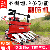 Small cutting and drying machine Multi-function household wheat millet forage alfalfa corn straw Prunus artifact harvester