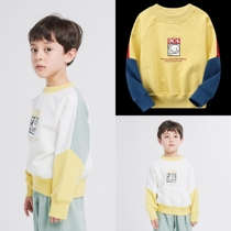 The pattern of the active meat dumplings T711 childrens splicing color sweater