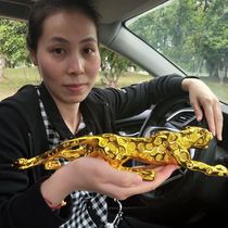 Car leopard car ornaments leopard personality creative interior decorations high-grade atmosphere mens car supplies