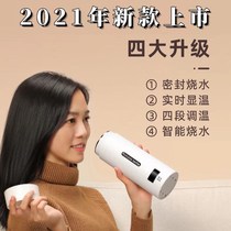 Quick heat Cup portable kettle water Cup thermostatic insulation travel home dormitory small mini electric heating boiling water Cup