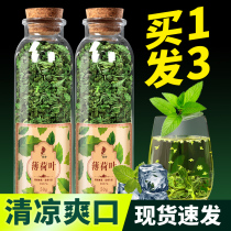  Mint tea 2021 mint leaf tea dried mint tea fresh edible mint granules cool cold-brewed tea soak water and drink