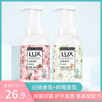Lishi fragrance hand sanitizer foam type sterilization and antibacterial 225ml × 2 bottles portable home real-life flagship store