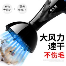 Dog hair dryer hairdressing artifact quick-drying large and small dog family cat pet dryer does not hurt hair blower