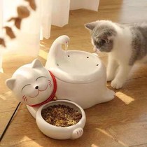 Cat and dog smart flow cycle filter pet self-service feeding and drinking water artifact plug-in cat automatic water dispenser