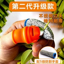 Picking vegetables picking vegetables peeling finger sets pepper picker pinching iron nails picking beans thumb knife