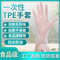 Disposable PVC gloves TPE food grade high-elastic thick disposable latex protective gloves waterproof and oil-proof and durable