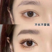 (Recommended by Li Jiaqi)Say goodbye to false eyelashes Eyelashes thick volume growth liquid Eyebrow growth liquid
