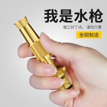 Nozzle watering flower watering artifact water pipe watering vegetable watering vegetable sprinkler home gardening nursery garden Flushing copper metal set