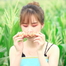 9 kg SF Yunnan Xishuangbanna fragrant glutinous small corn specialty pocket vacuum packet valley Banna
