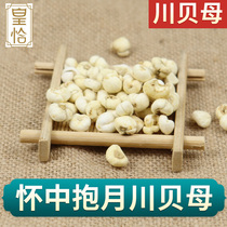 Sichuan fritillary 500 gr Chinese herbal medicine official flagship store special class of grain white fritillary non-cloud fritillary fritillary