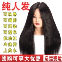 Model head hairdressing special hairstyle makeup artist practice haircut head model apprentice barber shop real hair doll head bracket
