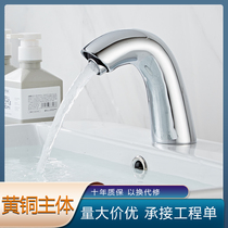 Steel animal induction faucet automatic intelligent infrared hand washing sensor induction faucet single cold and hot household