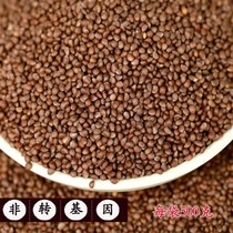 Perilla seed edible Su seed grain cooked Perilla in powder new non-sulfur material