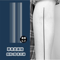 Straight line herb semi-permanent tattoo sticker male tide death ray tattoo sticker female sexy non-reflective juice