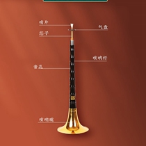 Musical instrument book Suona beginners unpopular simple easy to learn small playing class full set of ethnic niche small professional