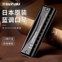 Japanese original imported SUZUKI SUZUKI HA-20 beginner 10 hole Blues blues harmonica professional performance
