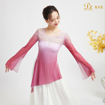 Classical dance body rhyme practice clothes color change clothes Chinese style long sleeve mesh coat base training yoga dance costume