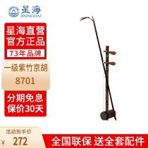 Beijing Xinghai Jinghu adult childrens Zizhu Jinghu beginners grade examination professional playing national musical instruments 8701P