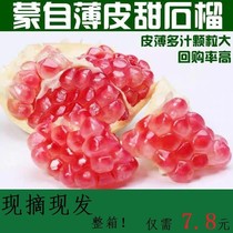 Yunnan Mengzi sweet pomegranate fresh seasonal fruit spot non-Tunisian pomegranate