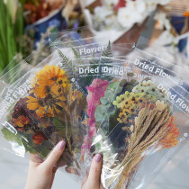 Hands Ledger PET Large Stickers Weekend Flower Shop Series Net Red Salt Series Fresh Ins Wind Art Retro Botanical Flower Creative Material Handbooks Notebooks Notebooks PHOTO ALBUM Special Sticker