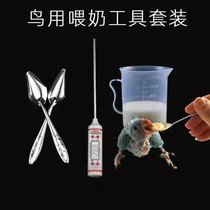 Baby bird feeding tools Parrot milk powder spoon Hand-raised baby bird feeding spoon Feeding cup Thermometer Baby bird supplies